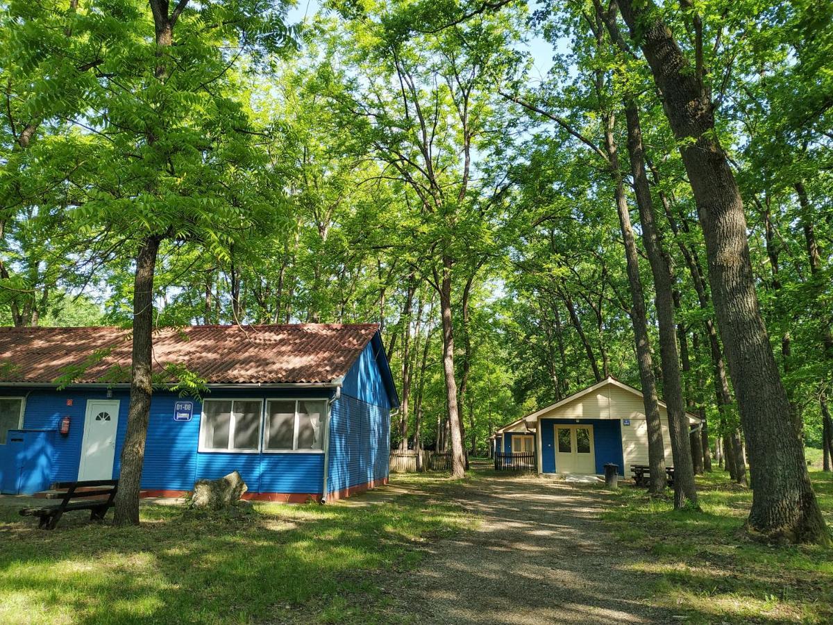 Hotel Dorcas Center&Camping Debrecen Exterior foto